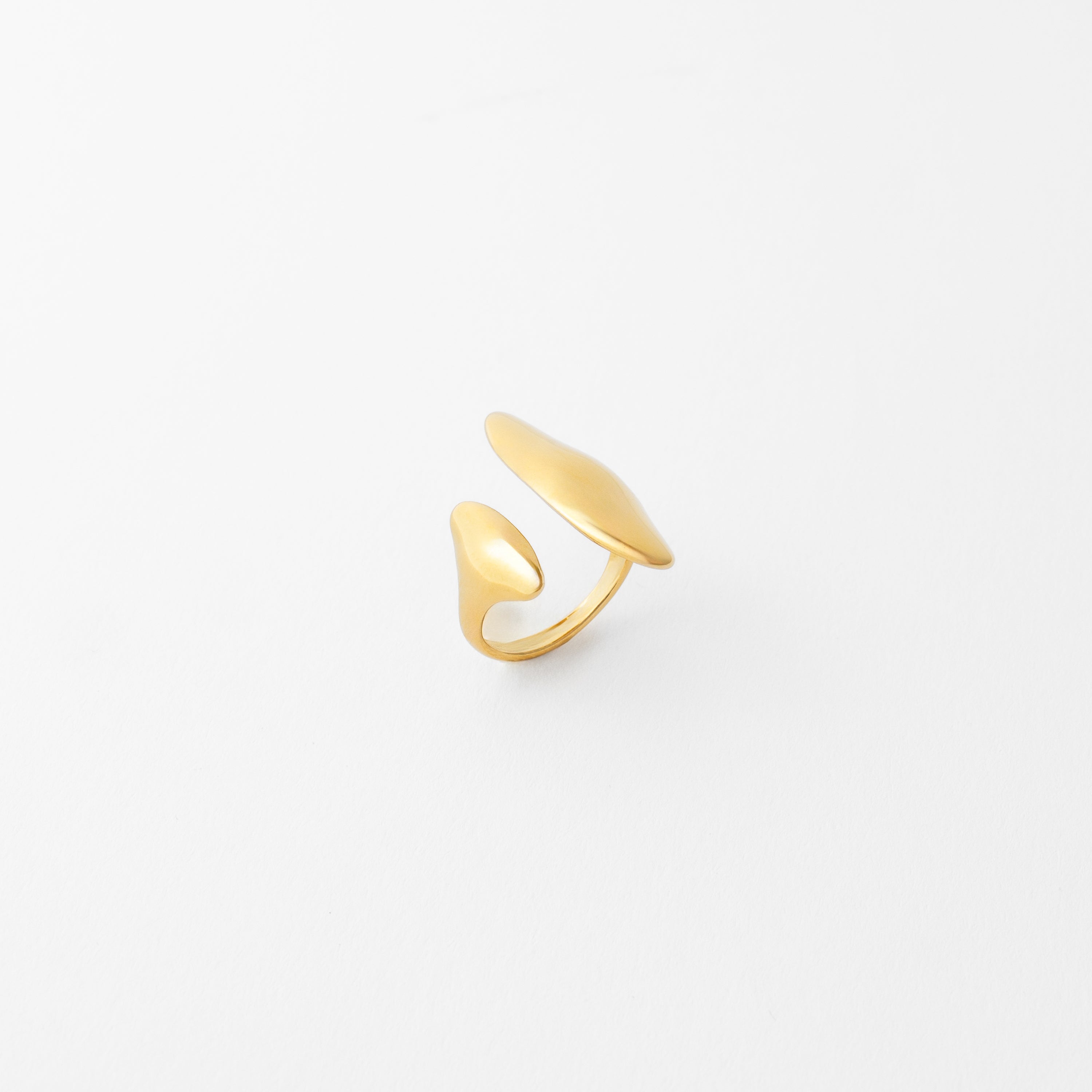 Bit Ring